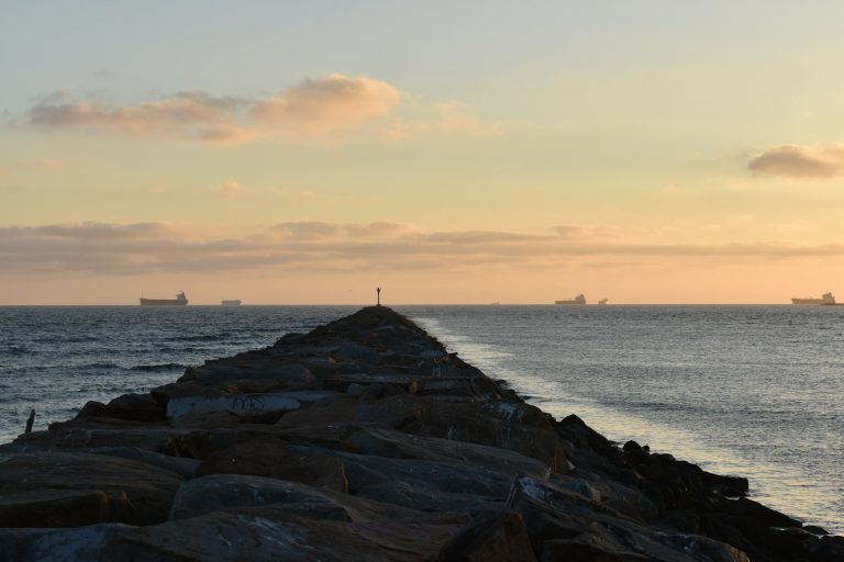 brown and gray concrete dock near body of water during daytime